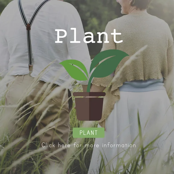 Happy senior couple outdoor — Stock Photo, Image