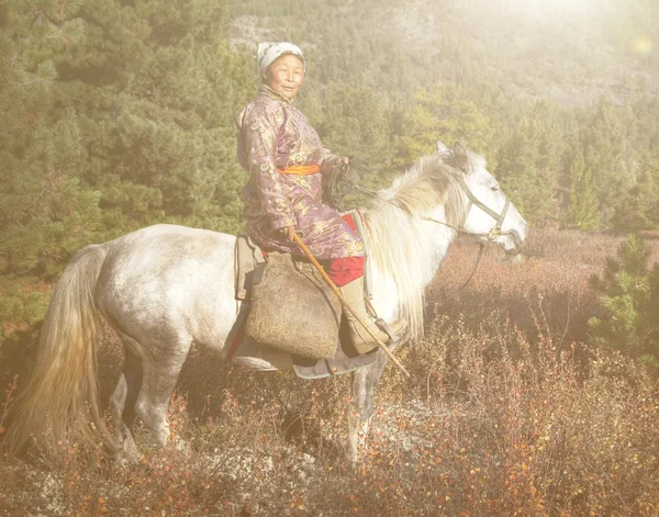 Mujer montando un caballo —  Fotos de Stock