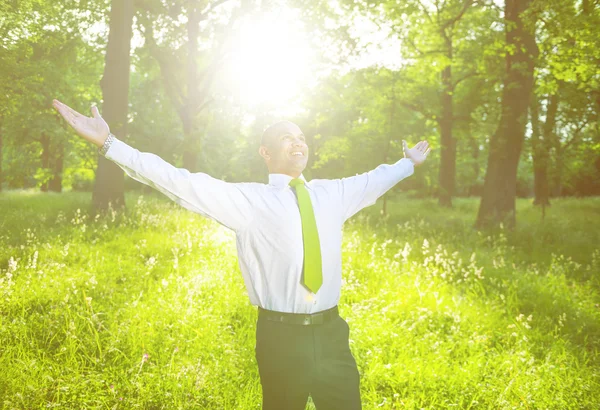 Happy businessman outdoors — Stock Photo, Image