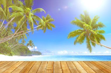 Güzel görünümü plaj ve okyanus