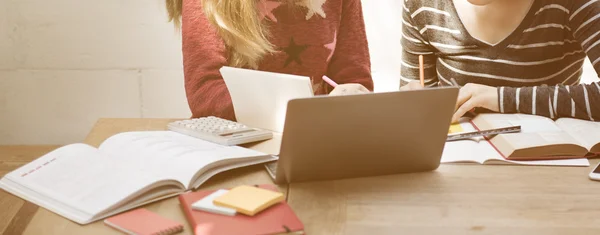 Mujeres con portátil y libros —  Fotos de Stock