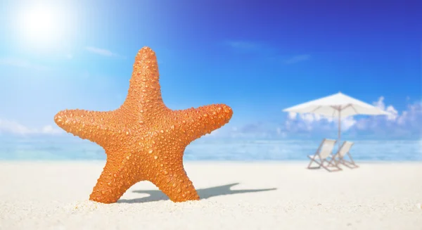 Hermosa vista del océano y la playa — Foto de Stock