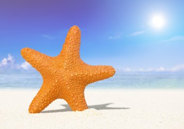 Güzel görünümü plaj ve okyanus