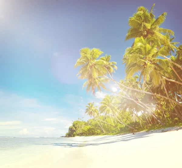 Tropiska strandutsikt — Stockfoto
