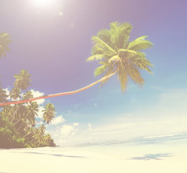 Hermosa vista del océano y la playa — Foto de Stock