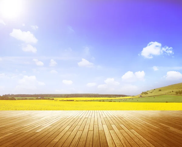 Peaceful Meadow in Countryside — Stock Photo, Image