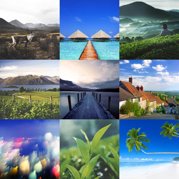 Beautiful Nature collage — Stock Photo, Image
