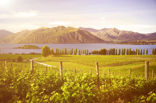 Campagna con lago in Nuova Zelanda — Foto Stock