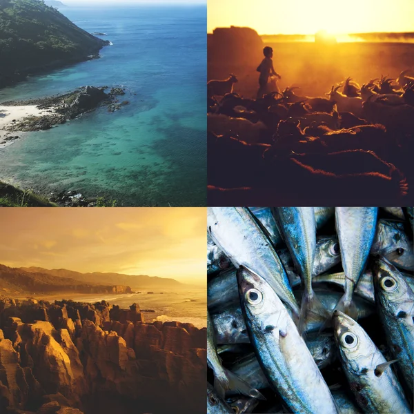 Exciting Travel Collage — Stock Photo, Image