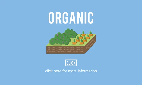 Plantilla con concepto orgánico — Foto de Stock