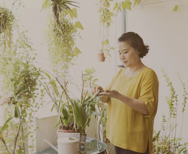 Huisvrouw en huis Tuin — Stockfoto