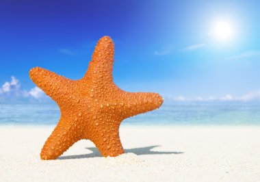 Güzel görünümü plaj ve okyanus