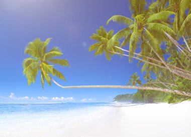 Tropikal Cennet plaj kavramı