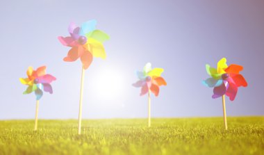 Grup pinwheels çimenlerin üzerinde