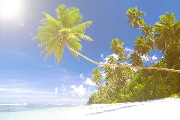 Blick auf den tropischen Strand — Stockfoto