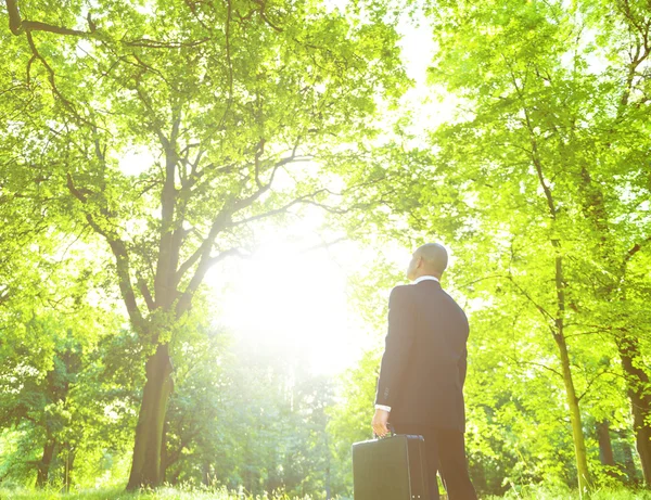 Businessman standing in green forest — Stock Photo, Image