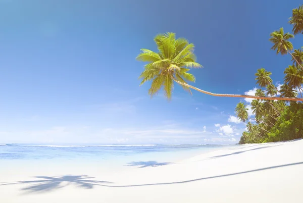 Bella vista sull'oceano e sulla spiaggia — Foto Stock