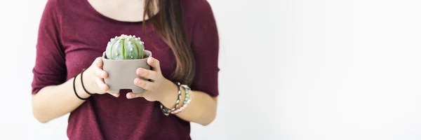 Mujer sosteniendo planta verde — Foto de Stock