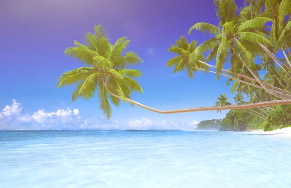 Tropical Paradise Beach Concept — Stock Photo, Image