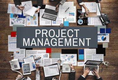 Proje yönetimi kavramı