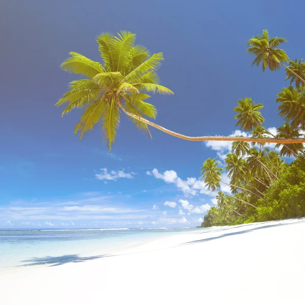 Vistas tropicales a la playa —  Fotos de Stock