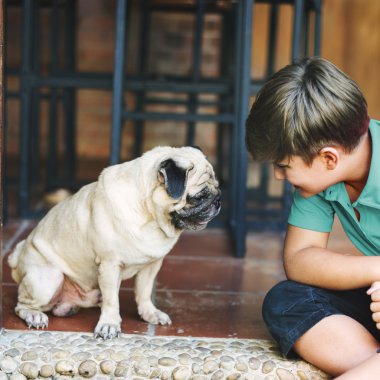 Çocuk köpekle oynuyor.