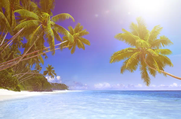 Schöner Blick auf Meer und Strand — Stockfoto