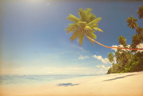 Playa tropical paradisíaca con efecto vintage — Foto de Stock