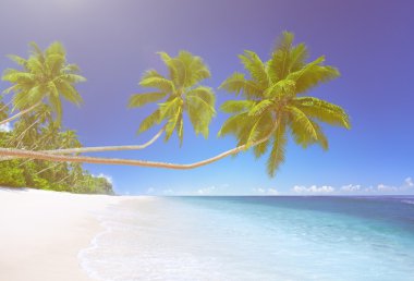 Güzel görünümü plaj ve okyanus