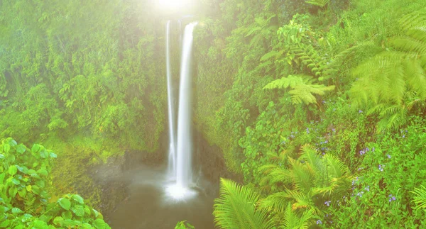 Huge waterfall in green nature — Stock Photo, Image