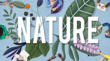 Toplantıda tartışırken iş arkadaşları