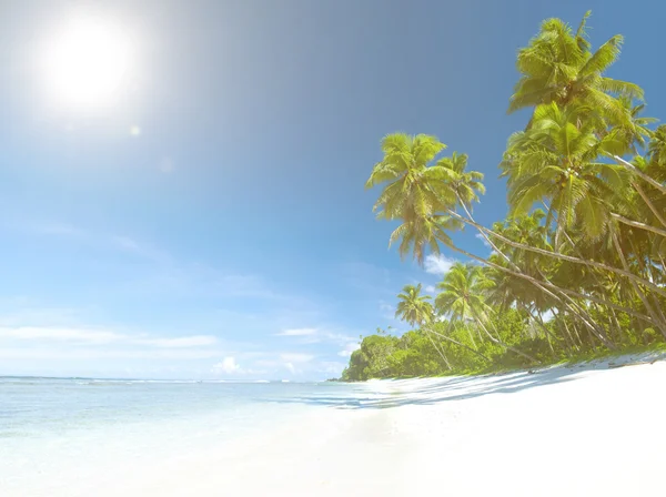 Vistas tropicales a la playa — Foto de Stock