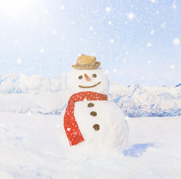 Real Snowman in scarf and hat — Stock fotografie