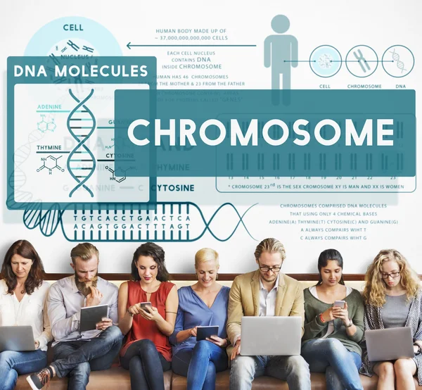 Az emberek ülnek, az eszközökkel és kromoszóma — Stock Fotó