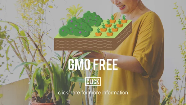 Biologische natuurlijke landbouw — Stockfoto
