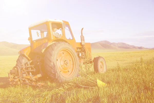 Traktor betakarítási mező — Stock Fotó