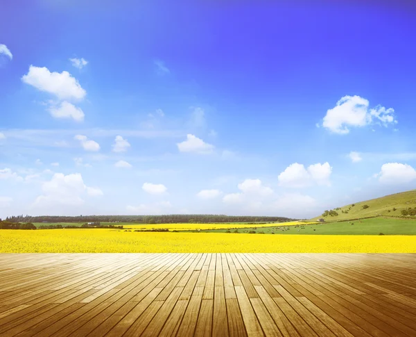 Peaceful Meadow in Countryside — Stock Photo, Image