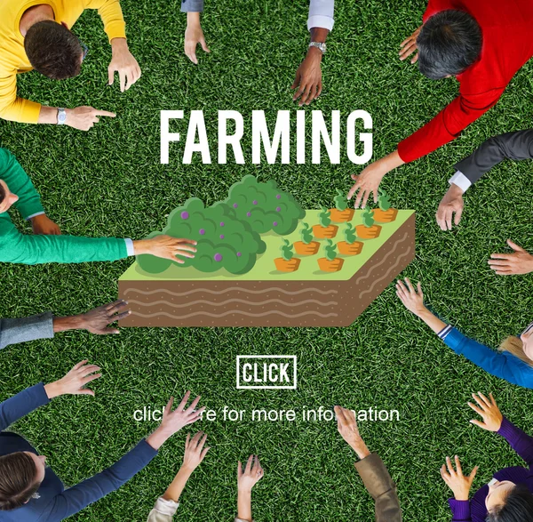 Business People and Farming Concept — Stock Photo, Image