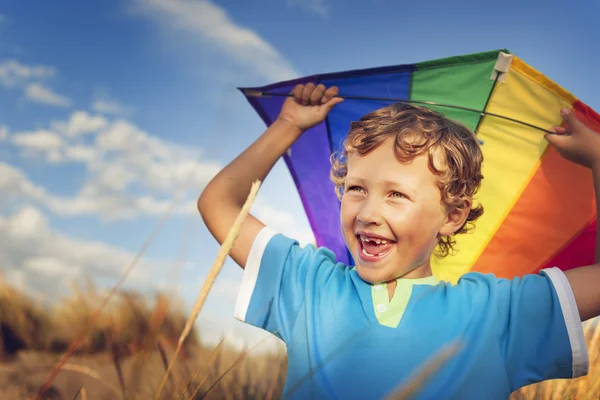 Cheerful boy Playing Kite — Stock fotografie