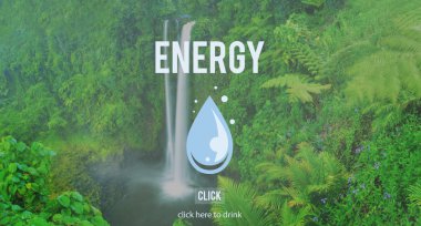 Yeşil Ormanlarda şelale