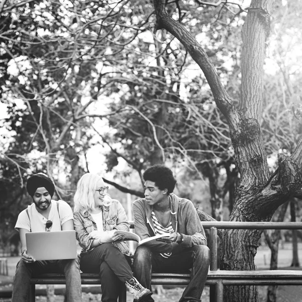 Equipo de Amigos Estudiando Juntos —  Fotos de Stock