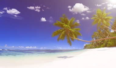 Güzel görünümü plaj ve okyanus