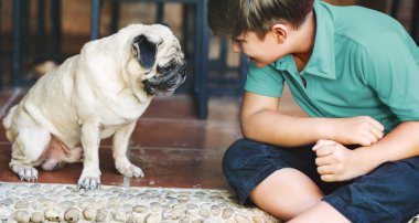 Çocuk köpekle oynuyor.