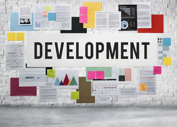 Development Management Concept — Stock Photo, Image