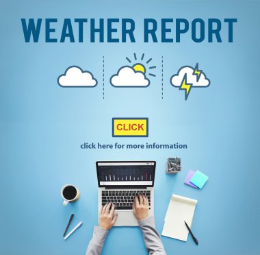 laptop ile çalışan kişi 