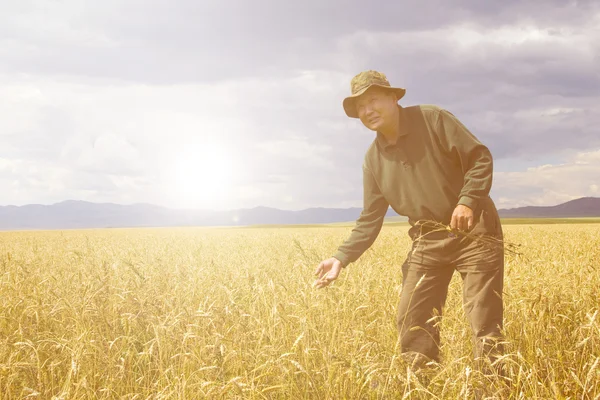 Man working in meadow — Stock Photo, Image