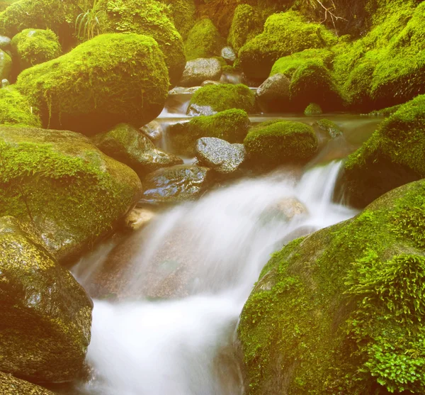 Cascada Cascada con rocas —  Fotos de Stock