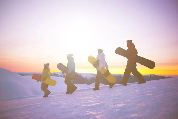 Snowboarders en la cima de la montaña —  Fotos de Stock
