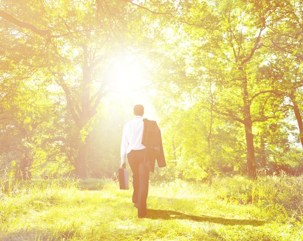 Geschäftsmann mit Koffer in der Natur — Stockfoto