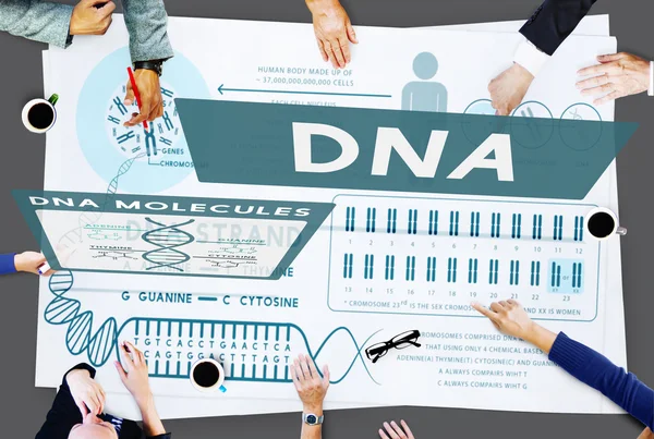 Equipe de negócios e conceito de DNA — Fotografia de Stock